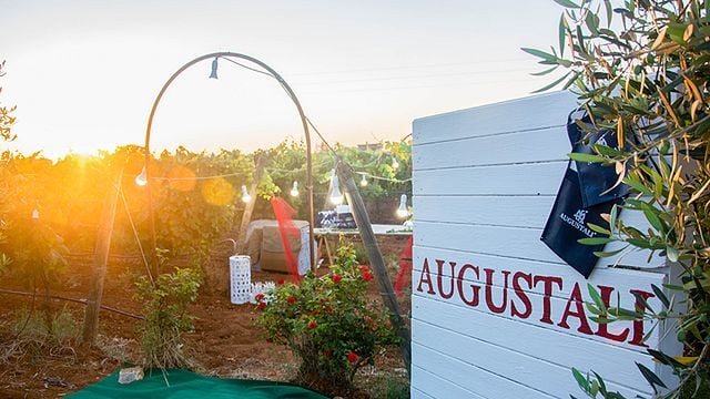 En Sicile, profitez des vignobles et des caves | Tour des vins à Augustali