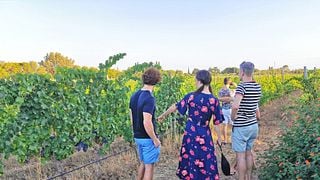 Tour de cata de vinos, arqueología y paisajes