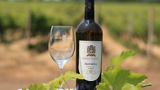 Standard-Weinprobe-Paket