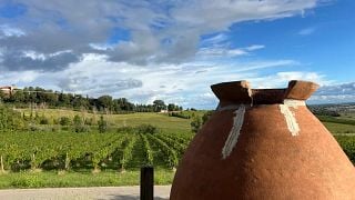 Ultimate experience Plus: 6 wine tastings, including 2 Riserva wines