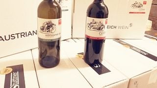 Weinprobe und Führung im Weingut DI Johanes Stuttner