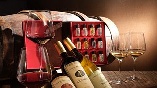 SENSORIAL Wine tasting and tour at Terre Del Marchesato - Bolgheri