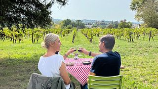 Visite privée des vignobles en voiture ancienne