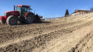 Cata de vinos y visita guiada a Defilippi - I Gessi