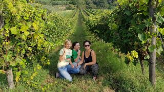 Degustação de vinhos e tour no Podere Anima Mundi