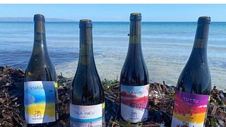 Weinprobe und Olivenöl-Erlebnis im Il Mortellito
