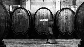 Führung und Verkostung „Unsere Geschichte“ im Weingut Bersano
