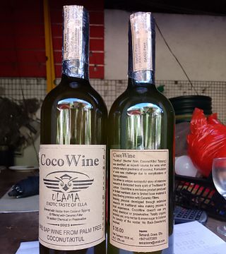 Cata de vinos con frutas en Ulama CocoWine