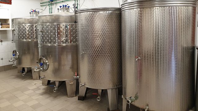 Weinprobe und Tour bei Vina Koglot