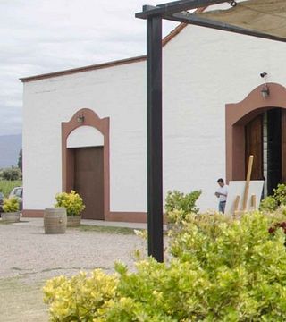 Degustação de vinhos e tour na Bodega Familia Cassone