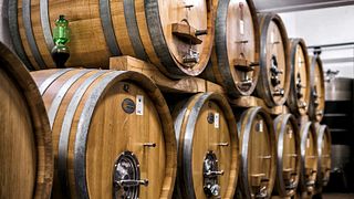 Degustação de vinhos e tour na Azienda Agricola Bocale