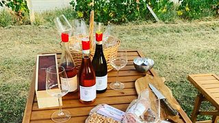 Piedmont Wine & Vineyard Tour with Tasting