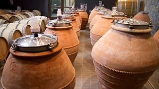 Lipovac Winery