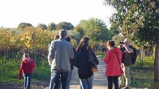 Tour del Vino en Azienda Agrícola La Vinarte