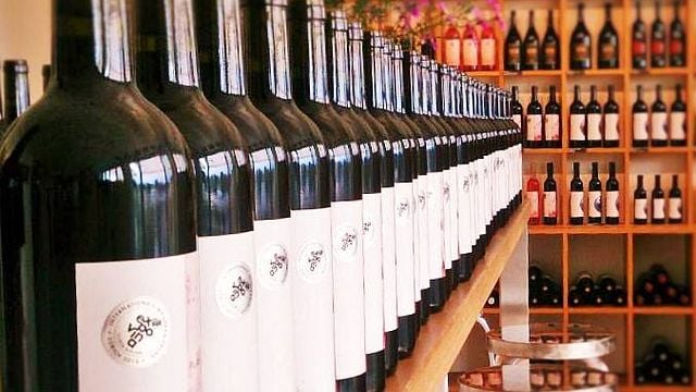 Klassische Weindegustation mit 4 Weinen im Terres de Lavaux