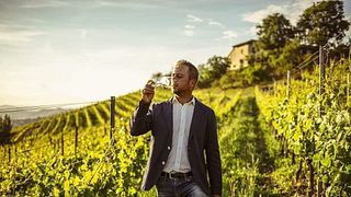 Degustação de Vinhos e Tour na Azienda Agricola Simone Cerruti