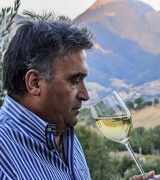 wine tastings, sampling of typical products and a tour of the two cellars and vineyards