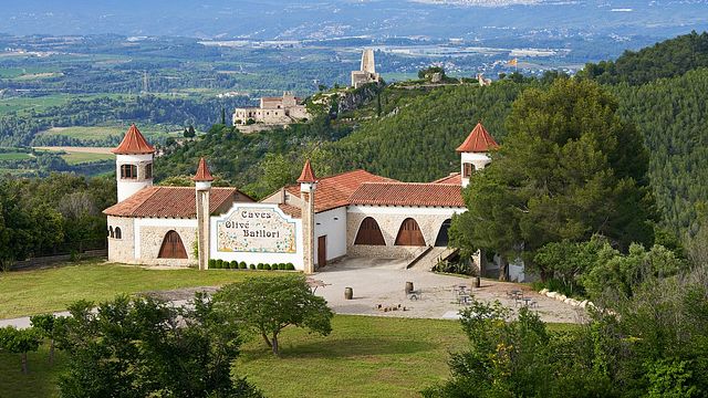 Visita y cata de vinos privada en Finca Batllori