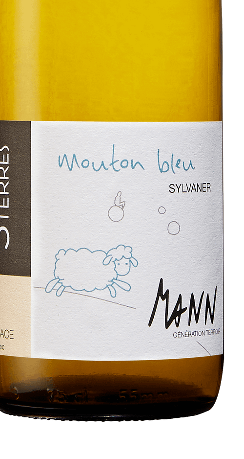 Sylvaner - Blue Sheep
