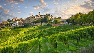 Alba, UNESCO-Schloss & Barolo-Weinprobe ab Mailand