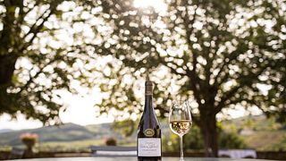 A grande degustação de vinhos no Château de Pierreclos