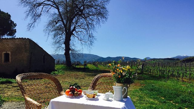 Bo på Tenute Pacelli Winery Home