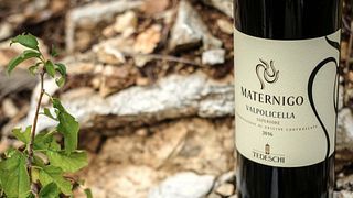 Découvrez les vins du Cru Tedeschi