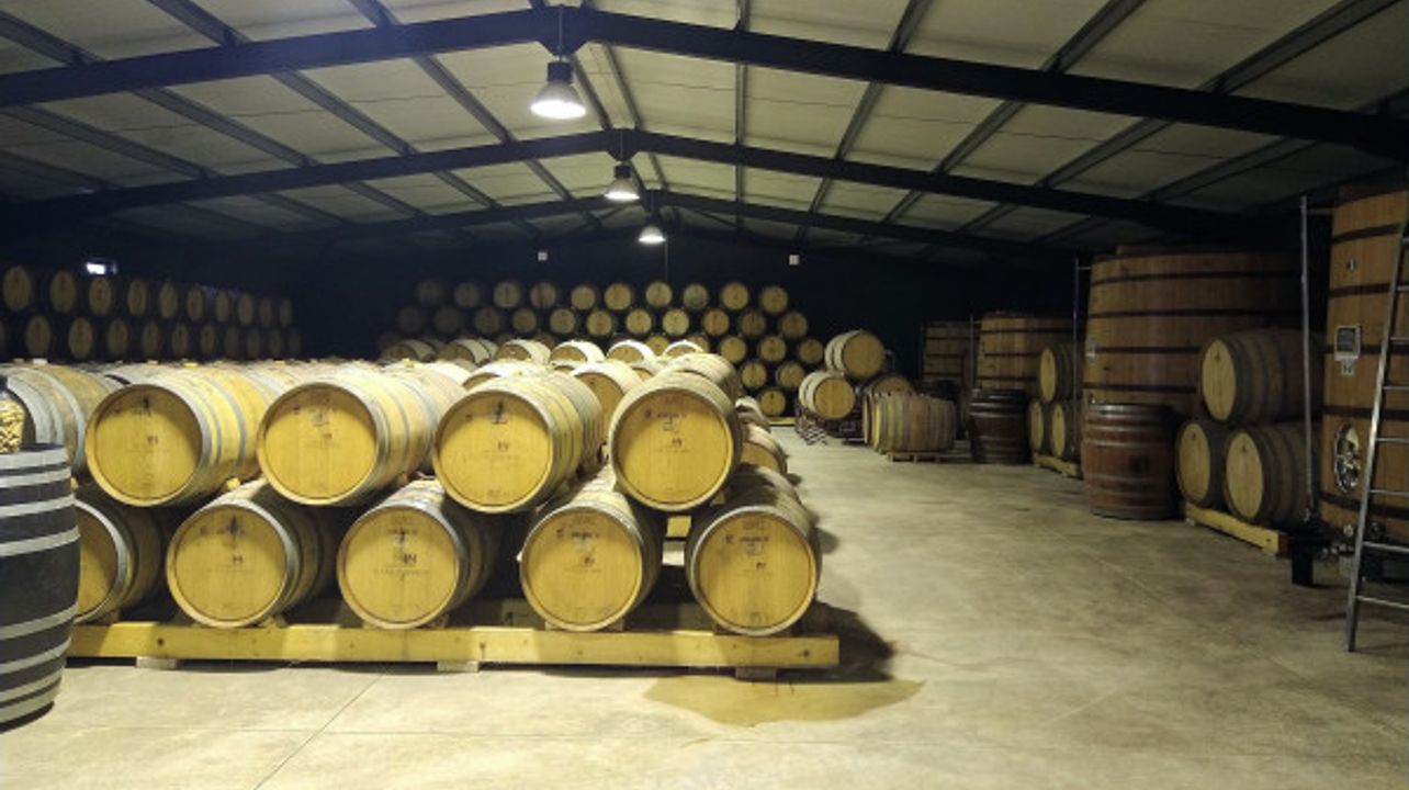 Visite privée de la vallée du Douro