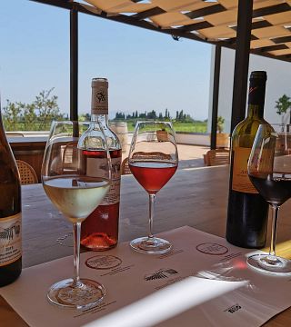 Anigma vinprovning på Ktima Akrani Winery