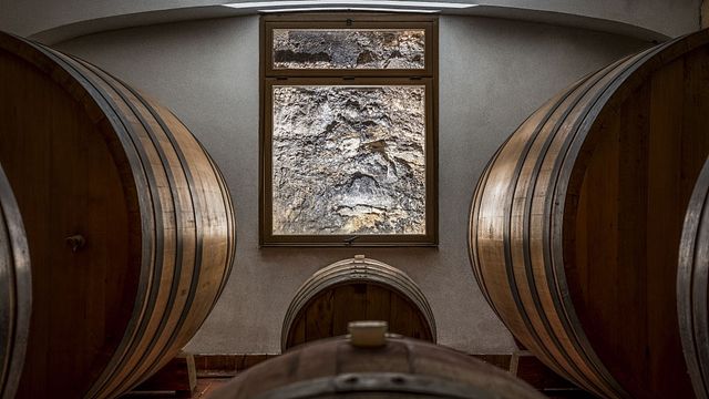 Taste Sicily’s Wines & Vegetarian Delights