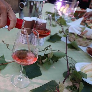 Bacco Wine tour på Fattoria Santo Stefano