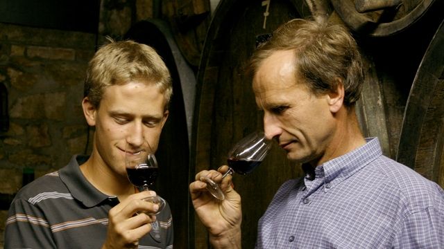 Weinprobe und Führung im Ökologischen Weingut Hubert Ly