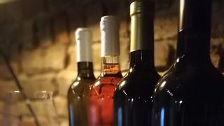 Cata de vinos en Koudekot Wijnmaker