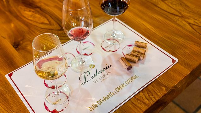 Dégustation à l'aveugle aux Bodegas Palacio de Lerma