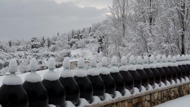 Domaine Des Hautes Collines De La Côte D'Azur