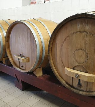 Weinprobe und Tour bei Vina Koglot