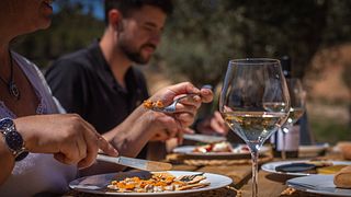 Weinprobe & kulinarisches Picknick in den Weinbergen – Edetària-Erlebnis