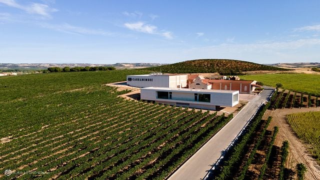 Dégustation de vins à Bodegas Carramimbre