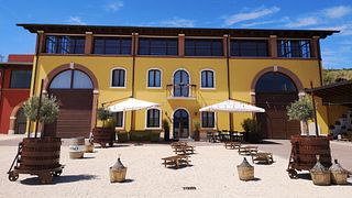 Die Origin-Weinprobe im Canoso Wine Shop