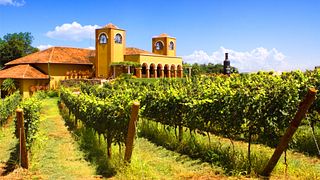 Visita guiada à vinícola | Vinícola Dezem