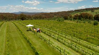 Flyfaire Wines