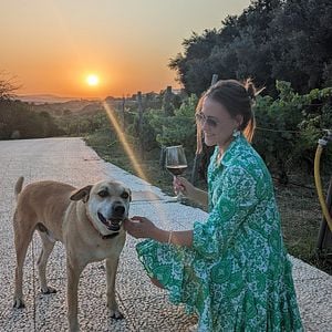 Cata de vinos excepcional 