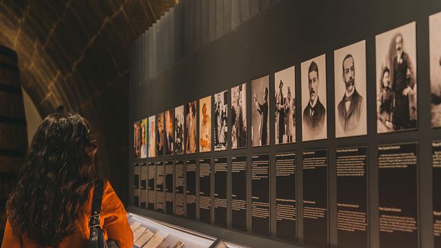 Visita a bodega de Oporto y cata de vinos en Fonseca
