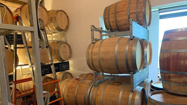 Découvrez le Piémont : une dégustation de vins blancs et une expérience viticole