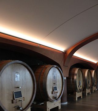 Explore 9 Fine Piedmont Wines in One Tasting