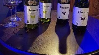 Degustazione di vini e tour presso Thembi Wines