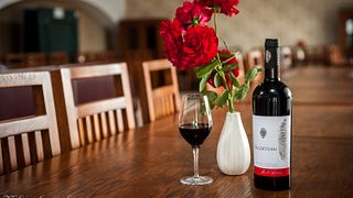 Cata de vinos y visita a la bodega en Domeniile Sahateni