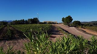 Celler Coma D'en Bonet Winery