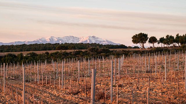 Rivesaltes, the secrets of its terroir
