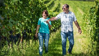 Weingut Grenzhof-Fiedler